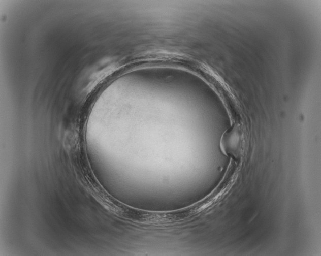 X0000086081259200703231355