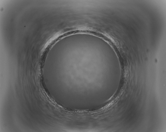 X0000086081263200703231355