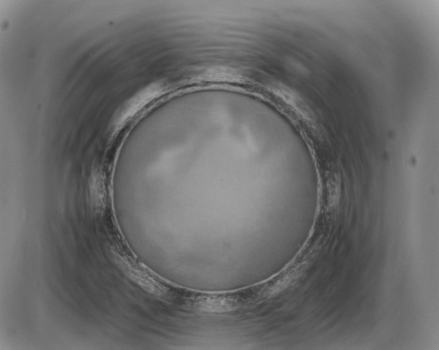 X0000086081266200703231355