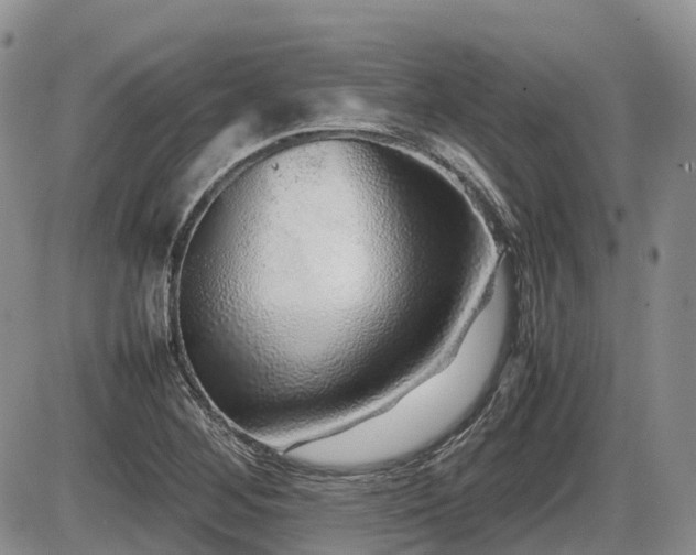 X0000086081268200703231355
