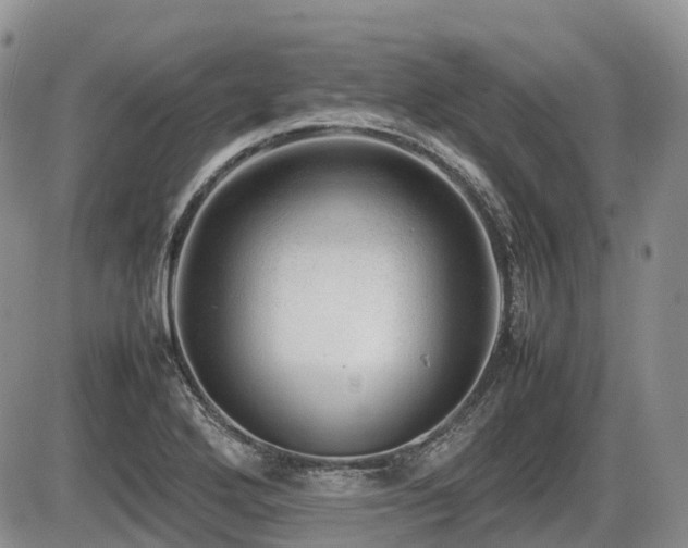 X0000086081272200703231355