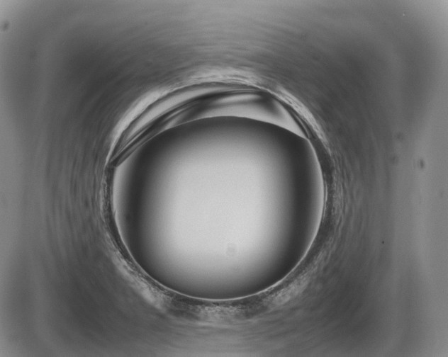 X0000086081277200703231355