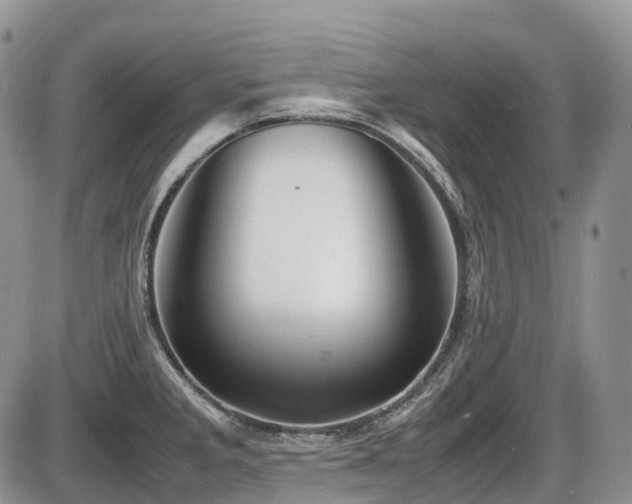 X0000086081285200703231355