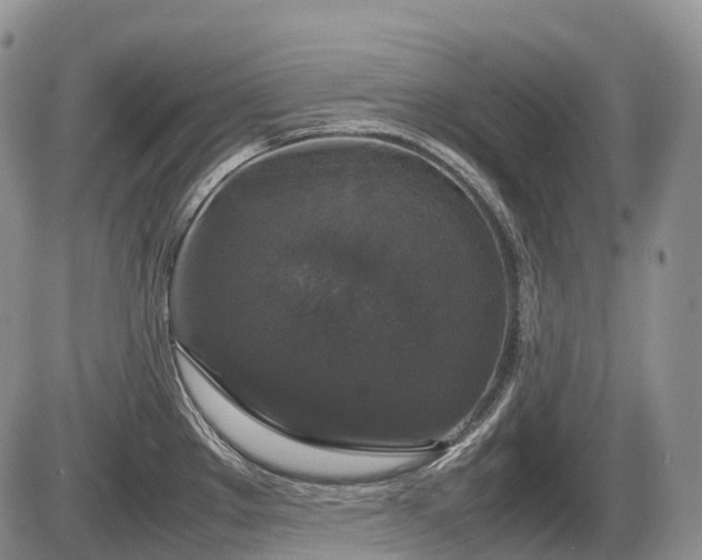 X0000086081289200703231355