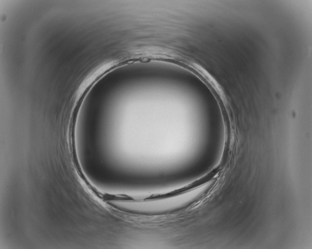 X0000086081293200703231355