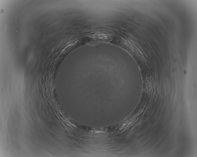 X0000086081297200703231354
