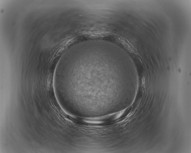 X0000086081300200703231354