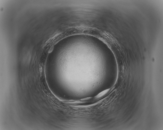 X0000086081302200703231354