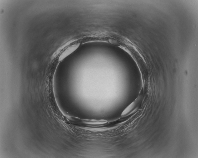 X0000086081304200703231354