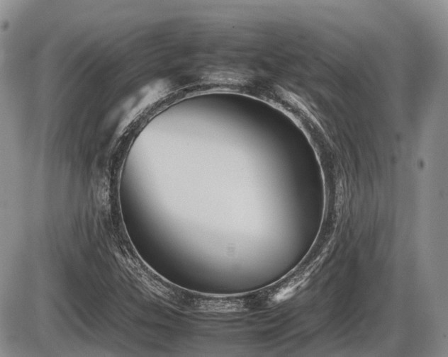 X0000086081307200703231354