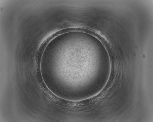 X0000086081311200703231354