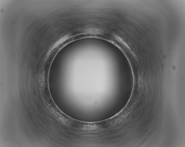 X0000086081315200703231354