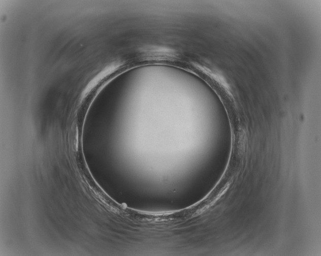 X0000086081317200703231354