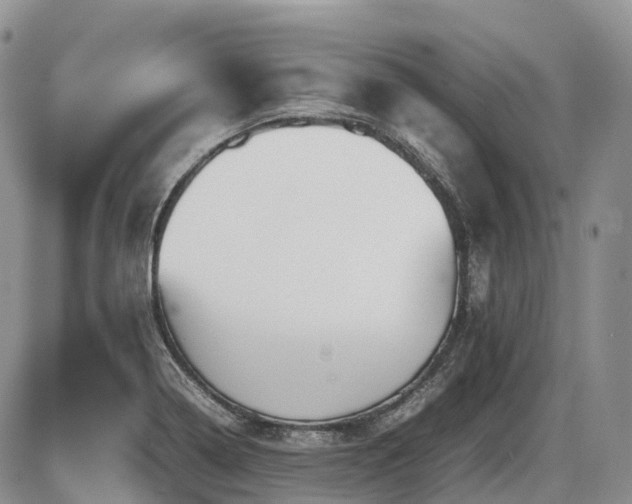 X0000086081322200703231354