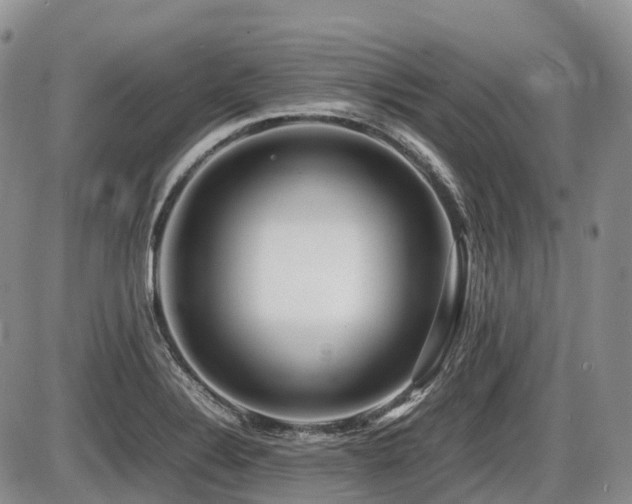 X0000086081324200703231354