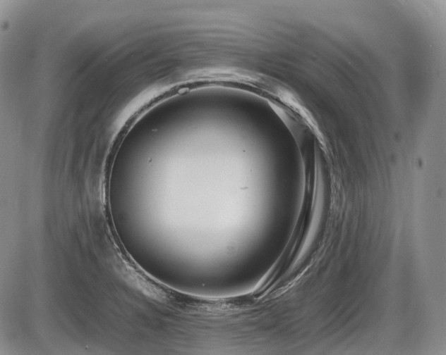 X0000086081328200703231354
