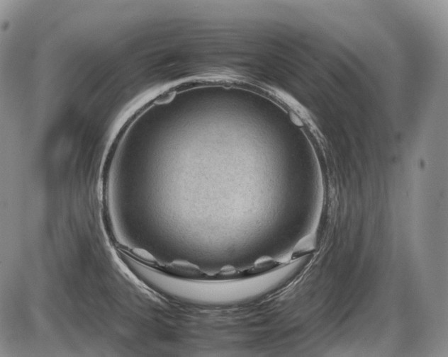 X0000086081335200703231354