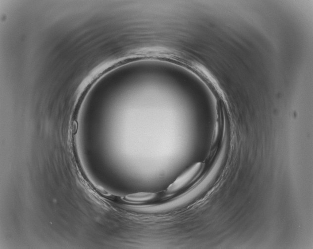 X0000086081336200703231354
