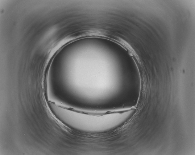 X0000086081339200703231354