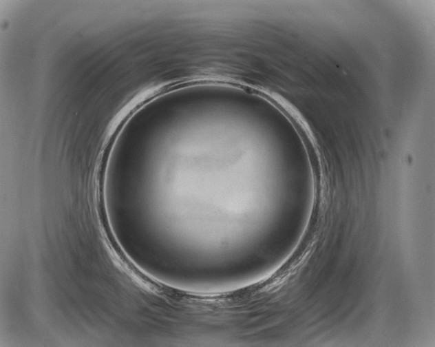 X0000086081341200703231354