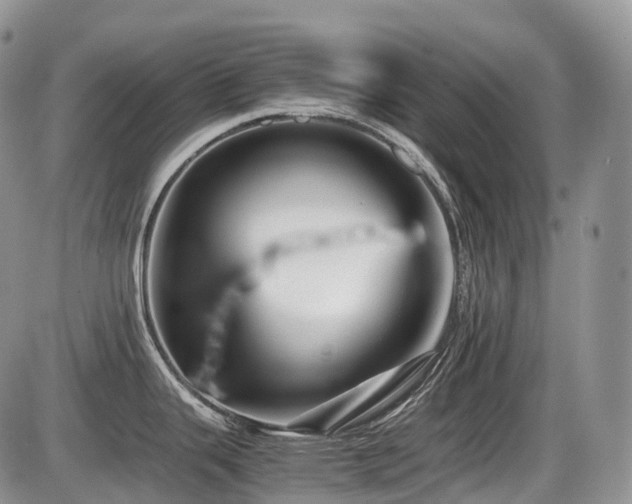 X0000086081343200703231354