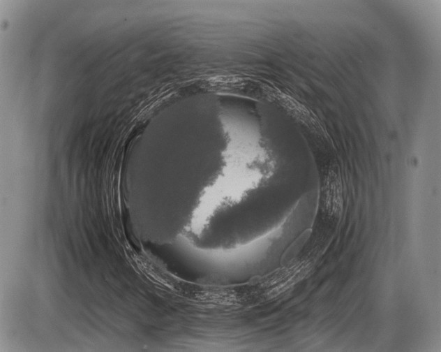 X0000086081346200703231354