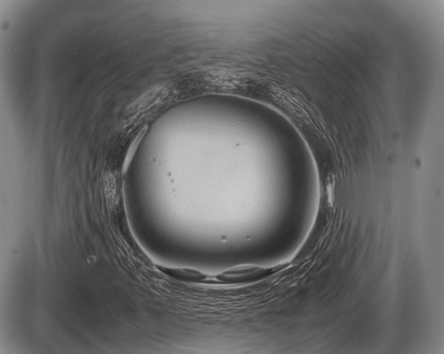 X0000086081347200703231354