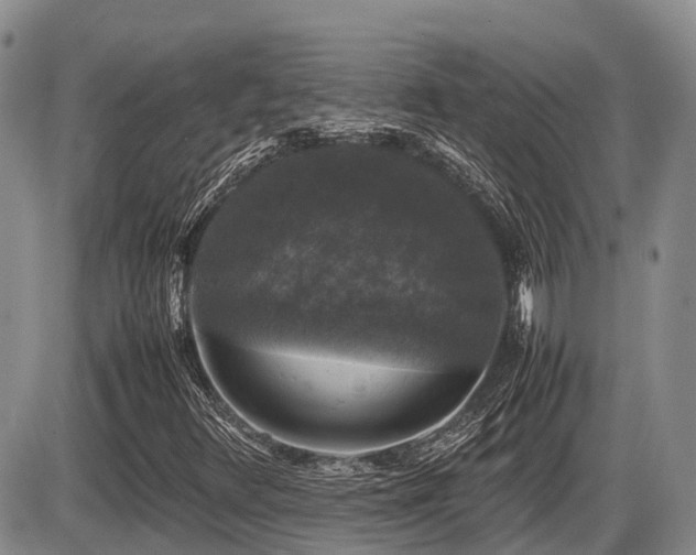 X0000086081348200703231354