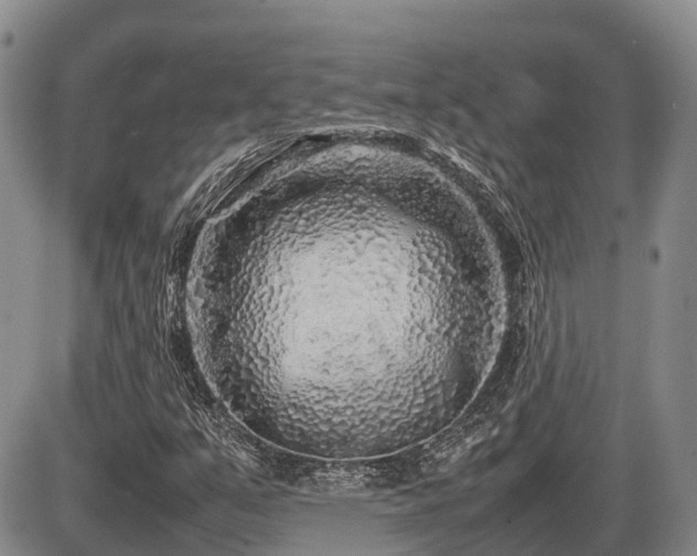 X0000086081351200703231354