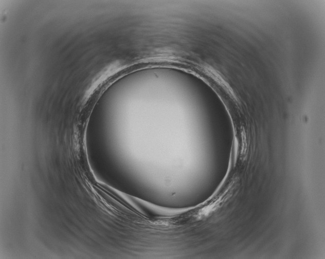X0000086081356200703231353
