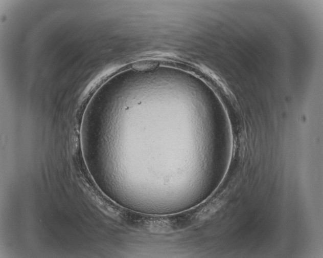 X0000086081363200703231353