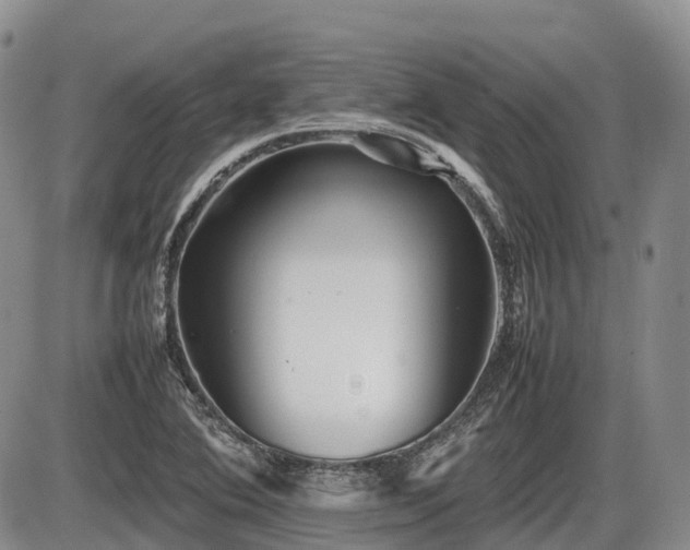 X0000086081364200703231353
