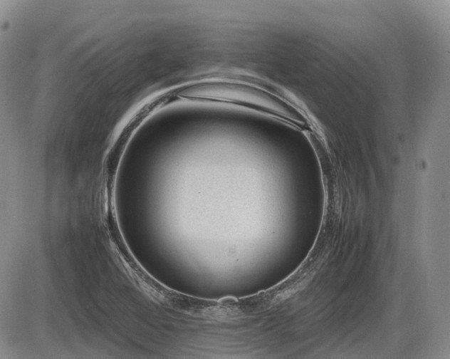 X0000086081368200703231353