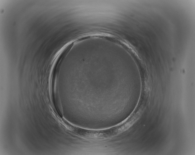 X0000086081369200703231353