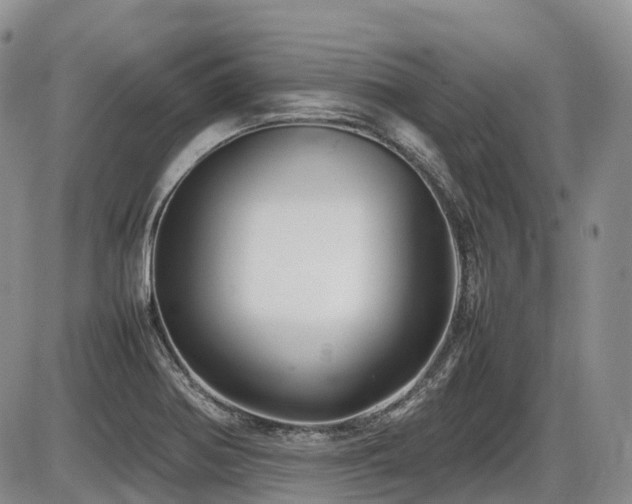 X0000086081370200703231353