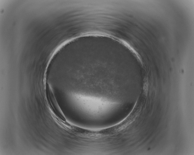 X0000086081372200703231353