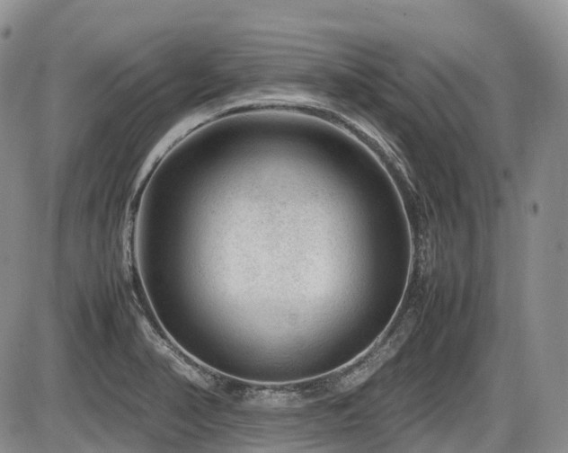 X0000086081374200703231353