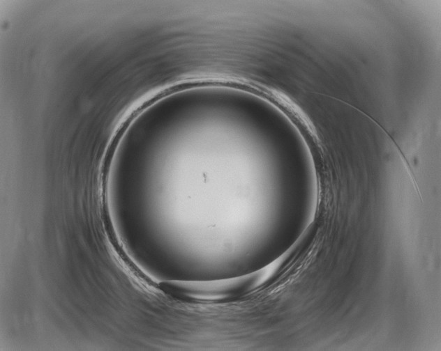 X0000086081380200703231353
