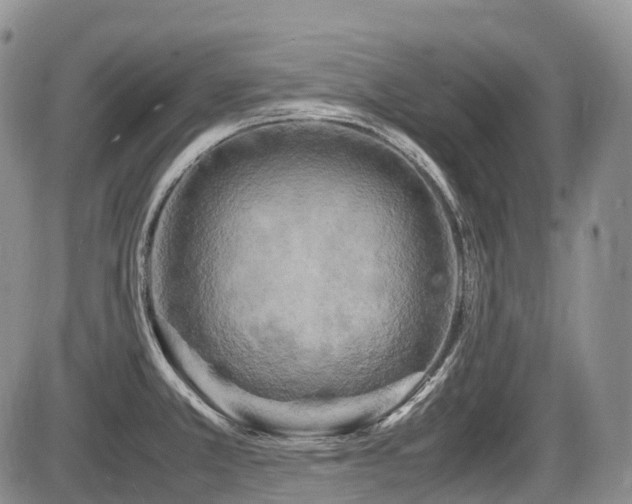 X0000086081381200703231353