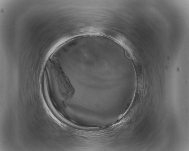 X0000086081383200703231353