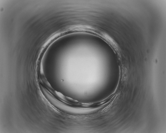 X0000086081384200703231353
