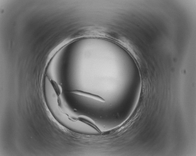 X0000086081387200703231353