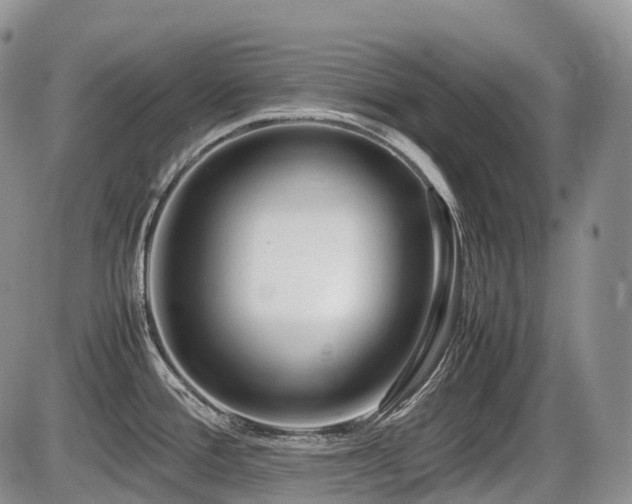 X0000086081388200703231353