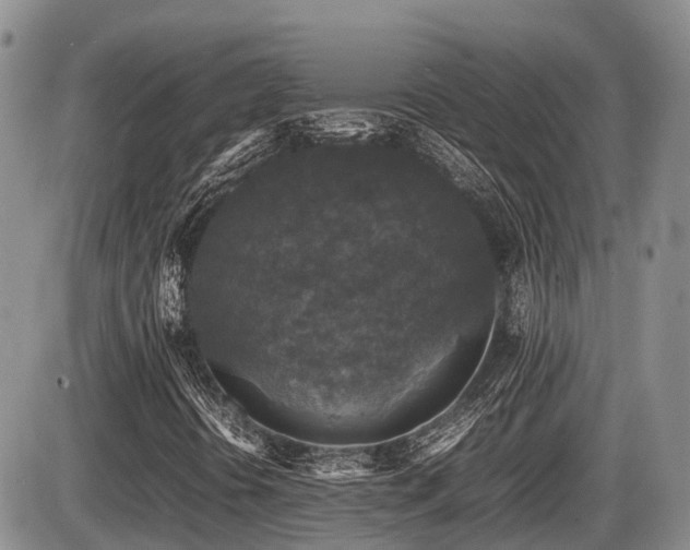 X0000086081394200703231352