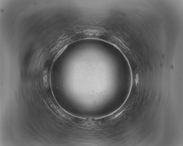 X0000086081396200703231352