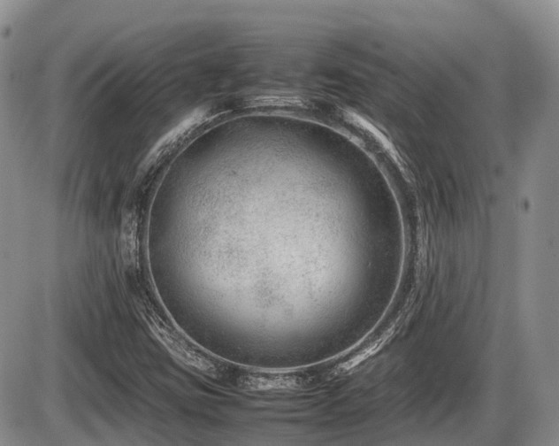 X0000086081403200703231352