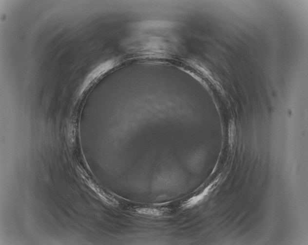 X0000086081405200703231352