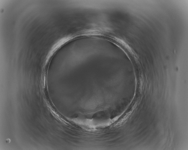 X0000086081413200703231352