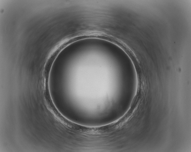 X0000086081414200703231352