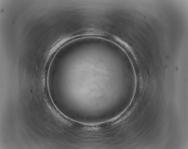 X0000086081415200703231352